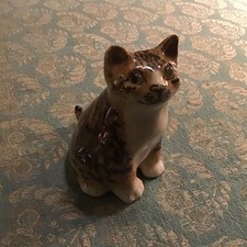 Winstanley tabby fat cat size