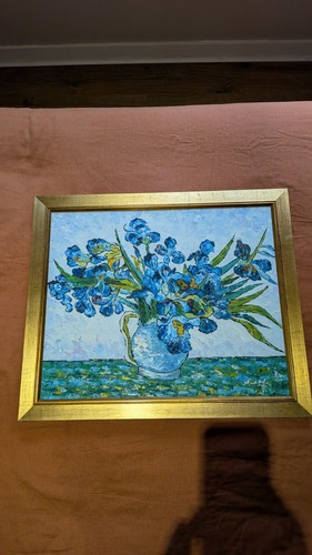 Faux van gogh - of, irises