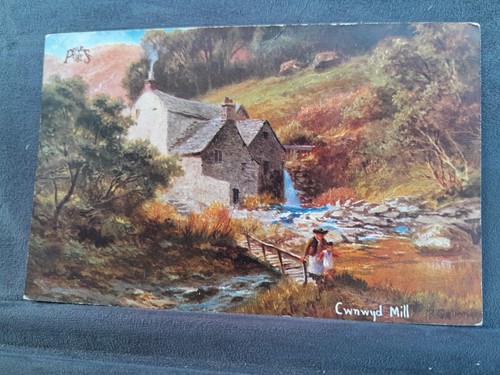 Cwnwyd mill hildesheimer art - cwnwyd,