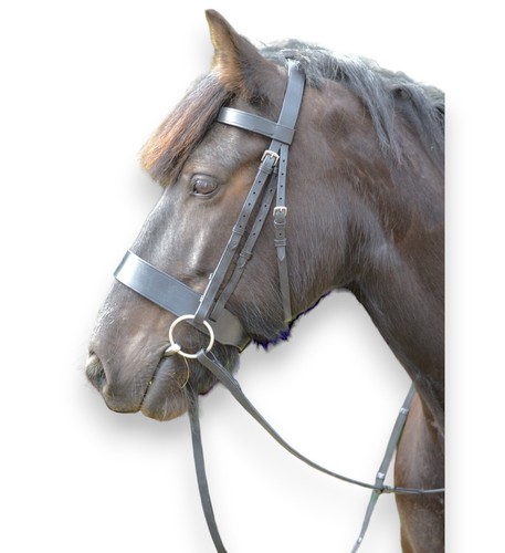 Leather horse hunter bridle - horse, 2