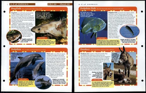Dogfish donkey 48 a - -, a-z