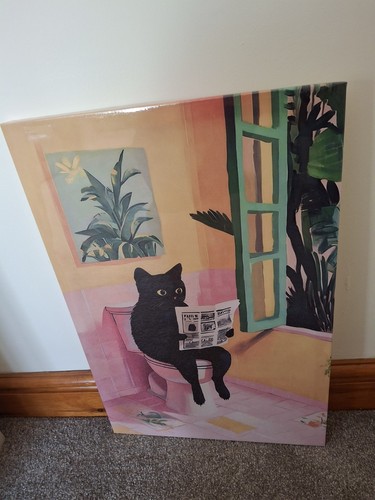 Cat reading newspaper - reading, on