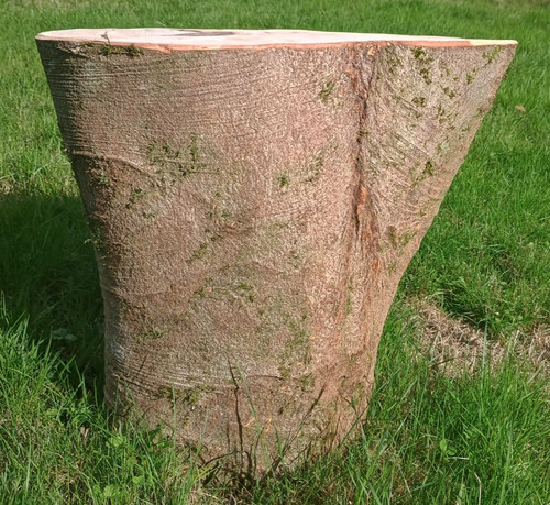 Tree stump log - table, farmhouse