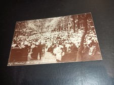 Busy Scene, Cafe Chamtant 1906, Sunnyhurst Wood, DARWEN, Lancashire RP