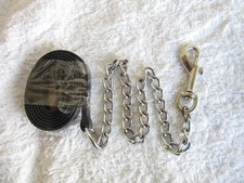 *** Miniature Horse /