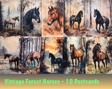 Vintage Forest Horse Postcards