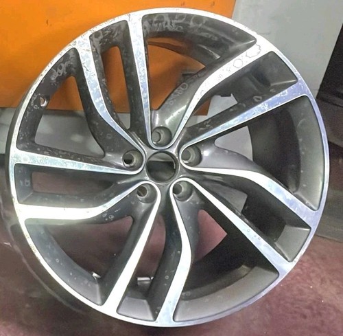 Genuine jaguar labyrinth - genuine,