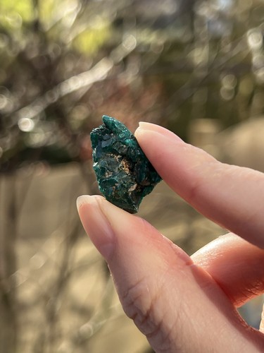 Dioptase crystal gemmy emerald - crystal,