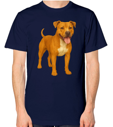 Staffordshire bull terrier dog - staffordshire,