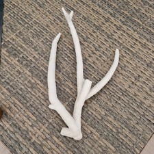 Vintage Natural Branch Coral Original White Nautical Sea Vgc