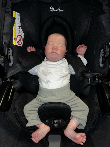 Realistic reborn baby - , doll