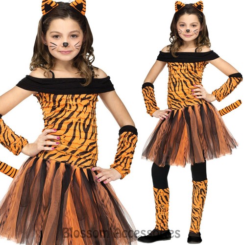 Ck618 tigress girls - ck618, fancy