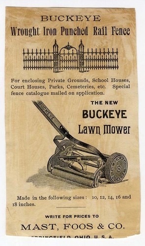 Springfield buckeye lawn - buckeye,