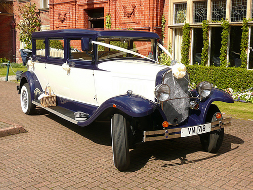 Wedding car decoration kit - car,