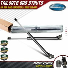 Set of 2 Tailgate Gas Struts