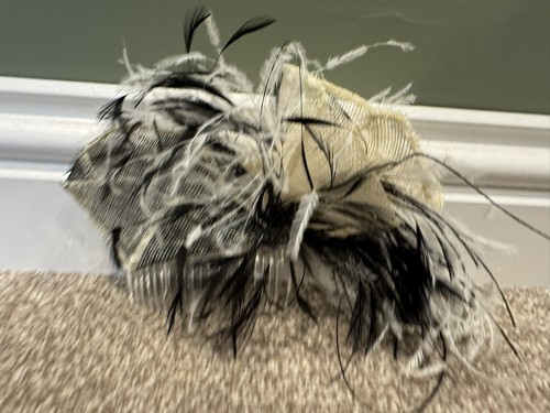 Ladies occasion wear hair