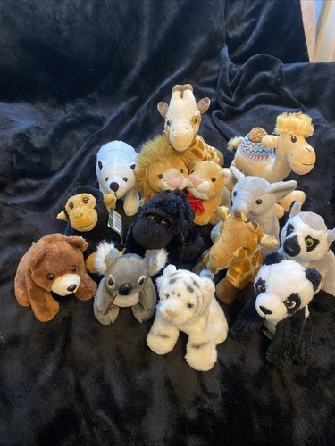 Big bundle wild zoo - wild, animals