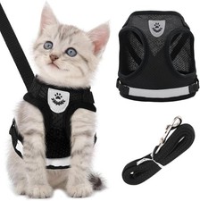 Kitten Harness and Lead Set