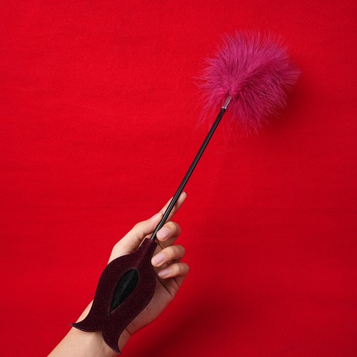 Spanking feather whip - feather,