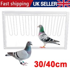 30/40cm Removable Pigeon
