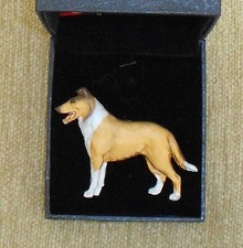 SMOOTH COLLIE sable white Dog