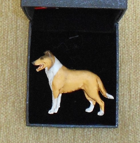 Smooth collie sable - collie, dog