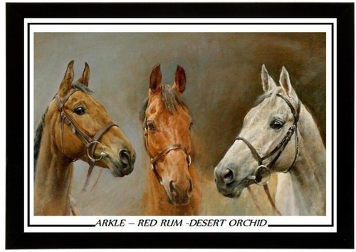 Arkle red rum - red,