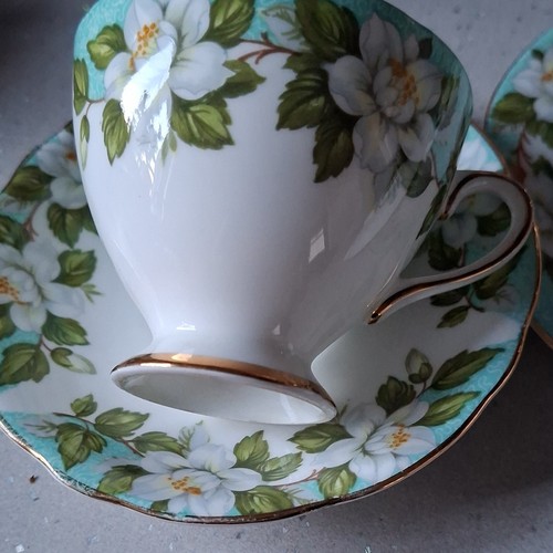 Montrose gladstone bone china - montrose,