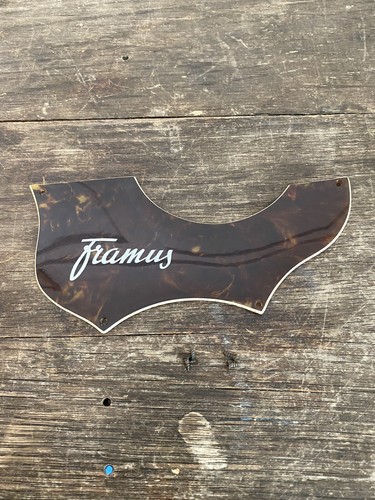 Vintage 1960 framus - vintage,