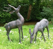 Medium Stag and Doe Deer