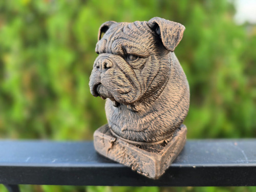Old english bulldog - english,