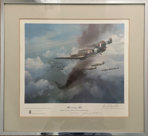 Spitfire hurricane signed - hurricane,