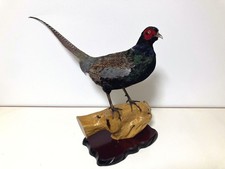 stuffed animals Japanese