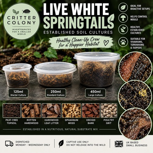 250ml starter live white - live,