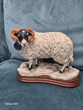 BORDER FINE ARTS B1597 RAM