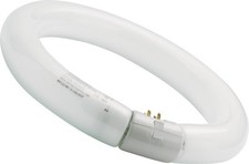 x1 22W T9 Cool White Sylvania Circular Fluorescent Tube Round FC22W 4000k