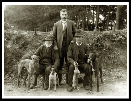Lurcher greyhound men dogs - lurcher,
