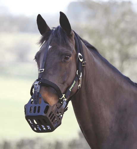 Shires greenguard grazing - greenguard,