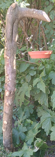 Natural bird feeder wooden