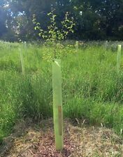 10 x 1.2m tall Tree Guards