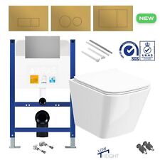 Rimless Wall Hung Toilet &
