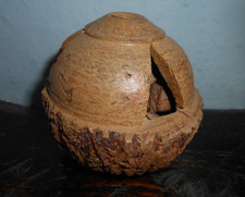 VINTAGE -  CARVED  BRAZIL  NUT  POD  -