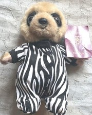 Compare the Meerkat – Safari