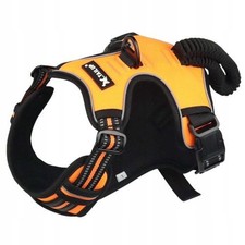 Dog Harness L - Golden