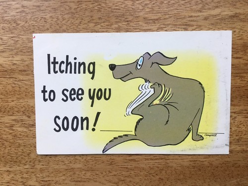 Cartoon humourous used - cartoon,