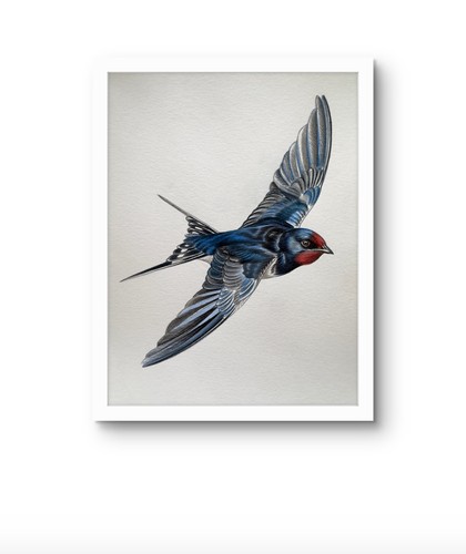 Original swallow flight - in,