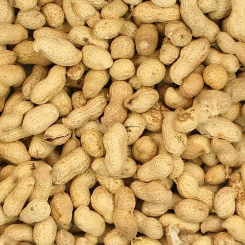 3kg premium safe - premium, wild