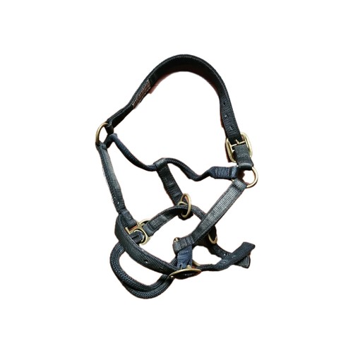 Monty roberts medium - monty,