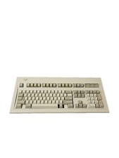 IBM Model M Mechanical Keyboard Vintage Keyboard 1391401 Tested Cleaned