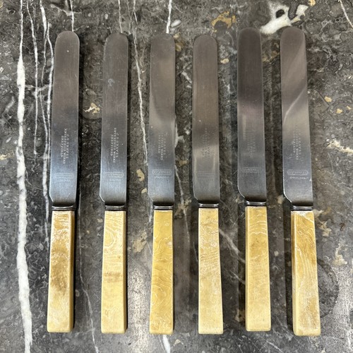Antique bone handle dinner - antique,
